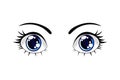 Colorful Cartoon Funny Blue  Eyes. Vector Isolated illustration on white background. Royalty Free Stock Photo